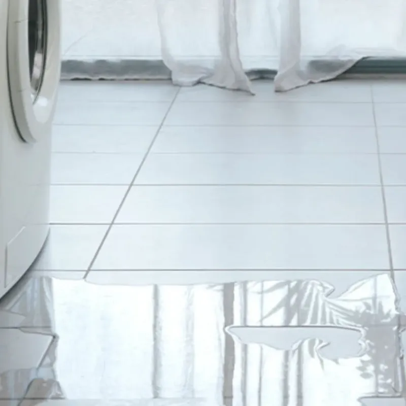Appliance Leak Cleanup in Clinton County, IA