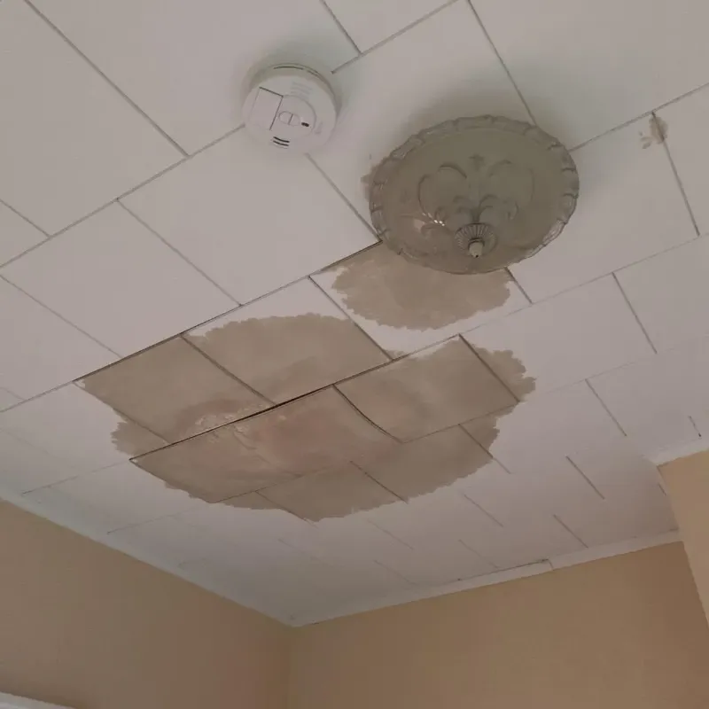 Ceiling Water Damage Repair in Clinton County, IA