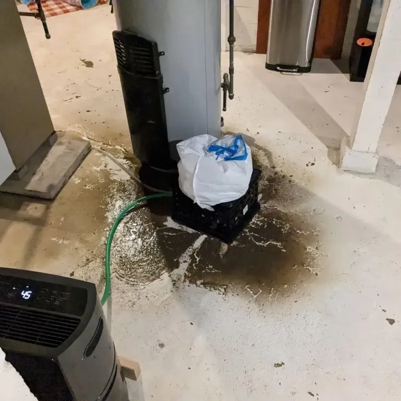 Sewage Backup Cleanup Service in Clinton County, IA